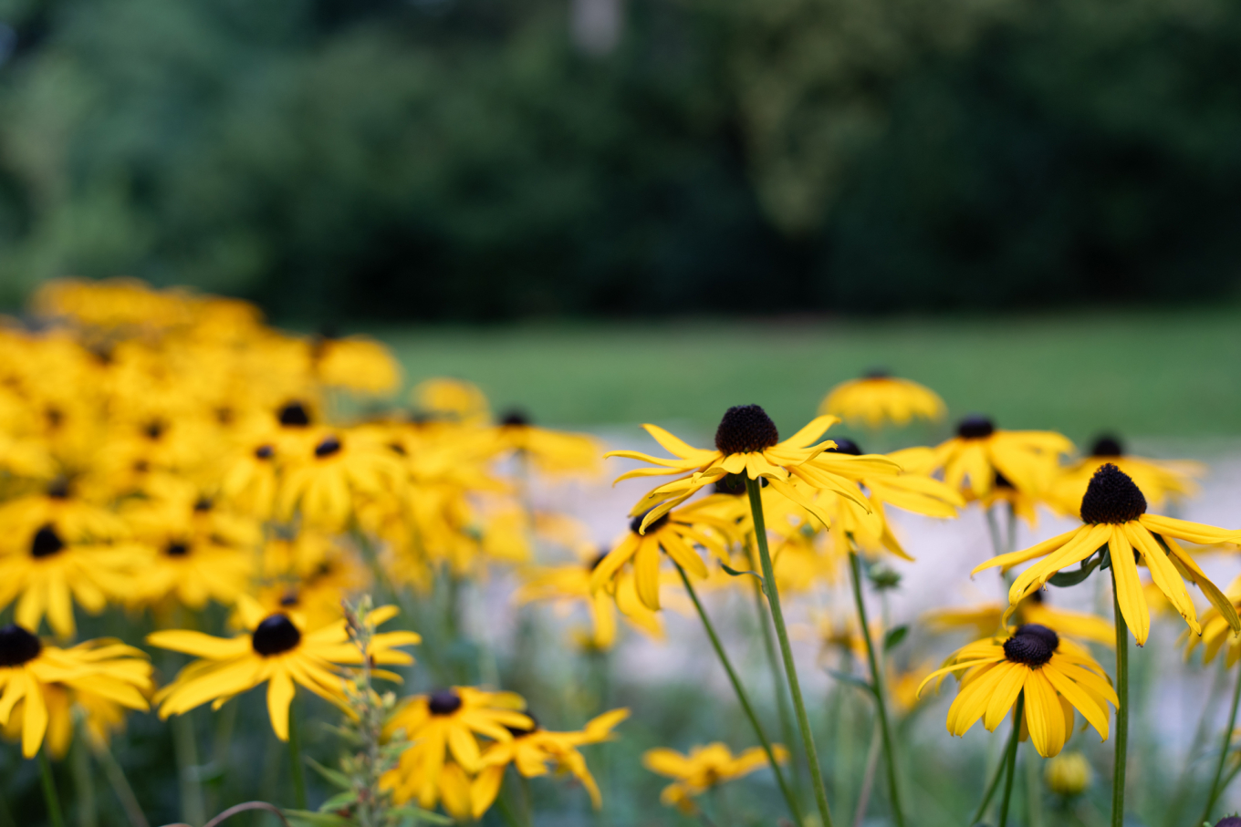 Gartengestaltung